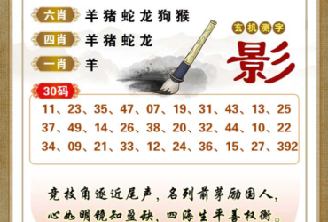 2025088期香港彩九肖30码中特