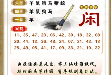 2025100期香港彩九肖30码中特